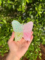 Daisy Butterfly